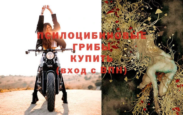 спиды Абинск