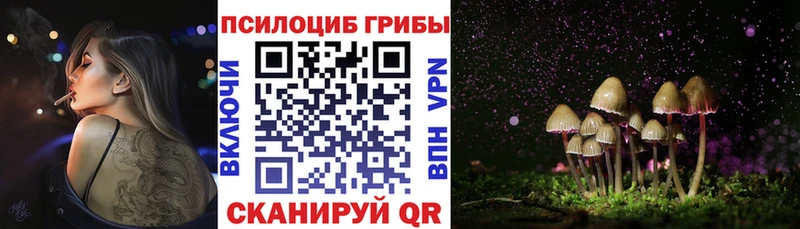 Псилоцибиновые грибы Cubensis Энем